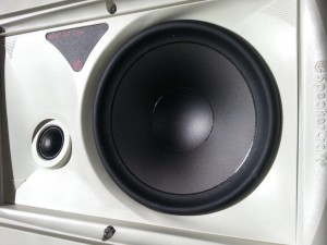 AIM speaker showing amiable tweeter and baffle.